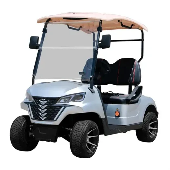 ALPHA G2 2-SEATER W/GOLF PACK